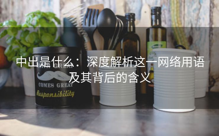中出是什么：深度解析这一网络用语及其背后的含义