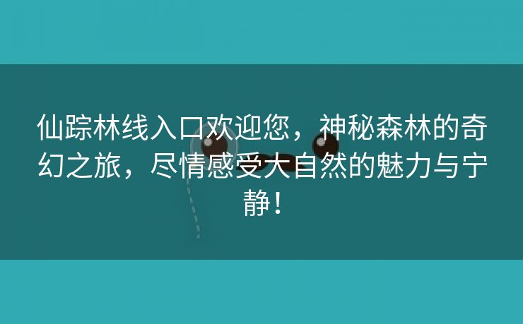 仙踪林线入口欢迎您，神秘森林的奇幻之旅，尽情感受大自然的魅力与宁静！