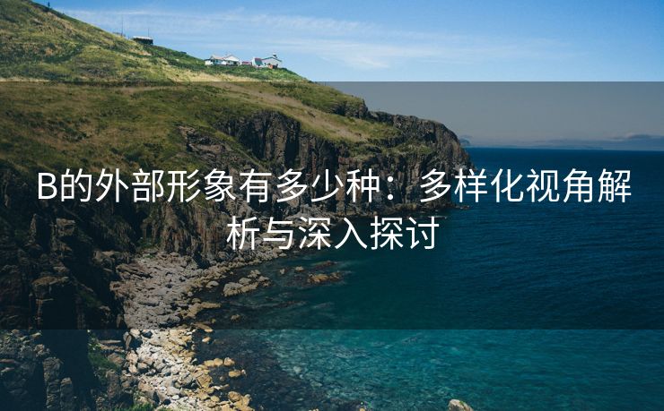 B的外部形象有多少种：多样化视角解析与深入探讨