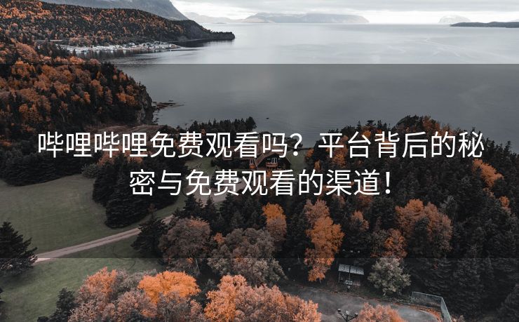 哔哩哔哩免费观看吗？平台背后的秘密与免费观看的渠道！