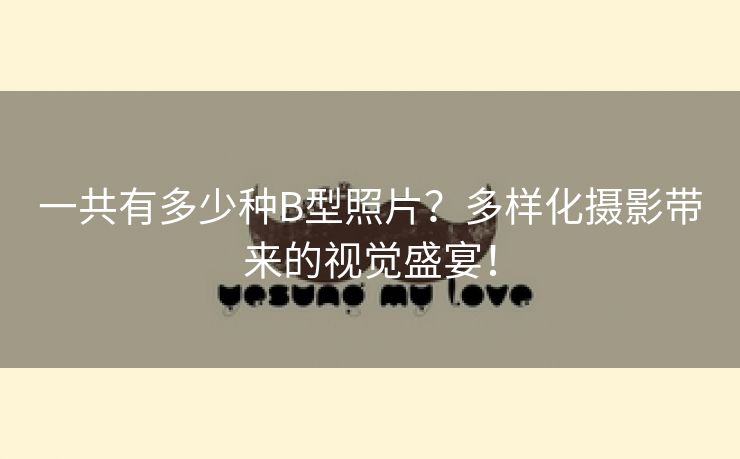 一共有多少种B型照片？多样化摄影带来的视觉盛宴！