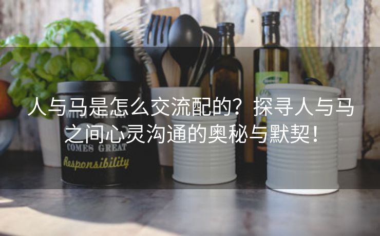 人与马是怎么交流配的？探寻人与马之间心灵沟通的奥秘与默契！