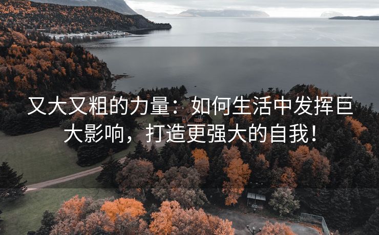 又大又粗的力量：如何生活中发挥巨大影响，打造更强大的自我！
