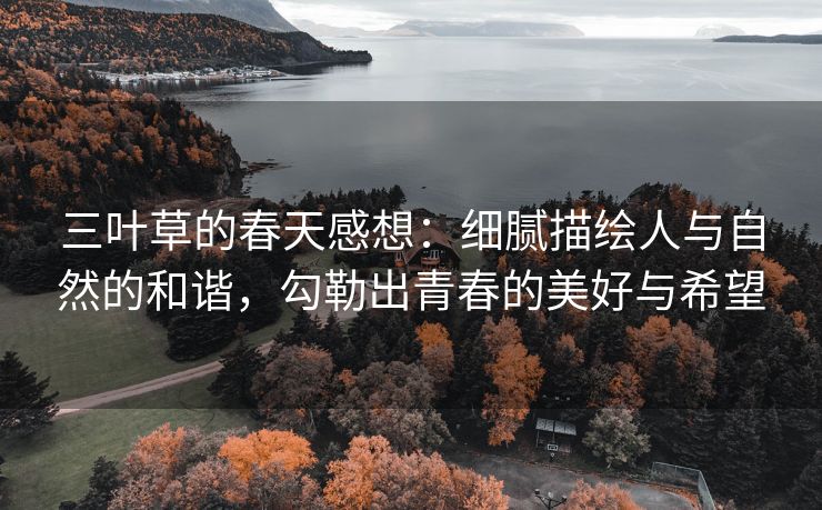 三叶草的春天感想：细腻描绘人与自然的和谐，勾勒出青春的美好与希望