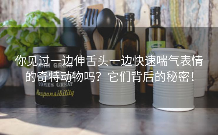 你见过一边伸舌头一边快速喘气表情的奇特动物吗？它们背后的秘密！