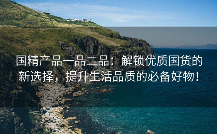 国精产品一品二品：解锁优质国货的新选择，提升生活品质的必备好物！