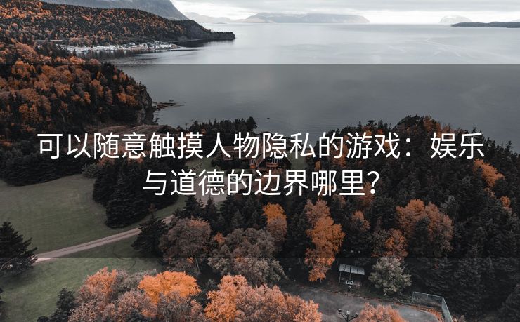 可以随意触摸人物隐私的游戏：娱乐与道德的边界哪里？