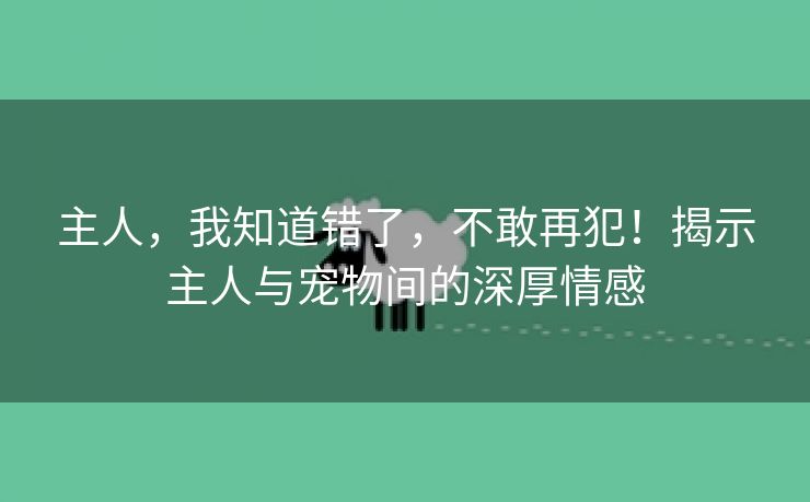 主人，我知道错了，不敢再犯！揭示主人与宠物间的深厚情感
