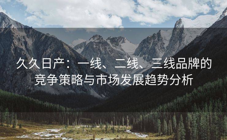 久久日产：一线、二线、三线品牌的竞争策略与市场发展趋势分析