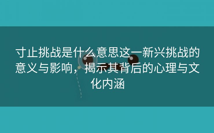 寸止挑战是什么意思这一新兴挑战的意义与影响，揭示其背后的心理与文化内涵