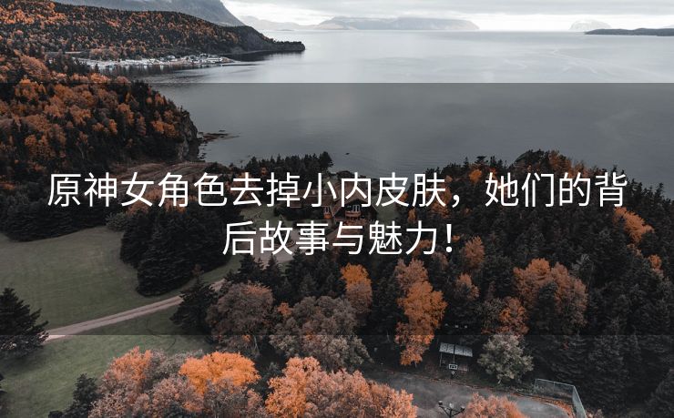 原神女角色去掉小内皮肤，她们的背后故事与魅力！