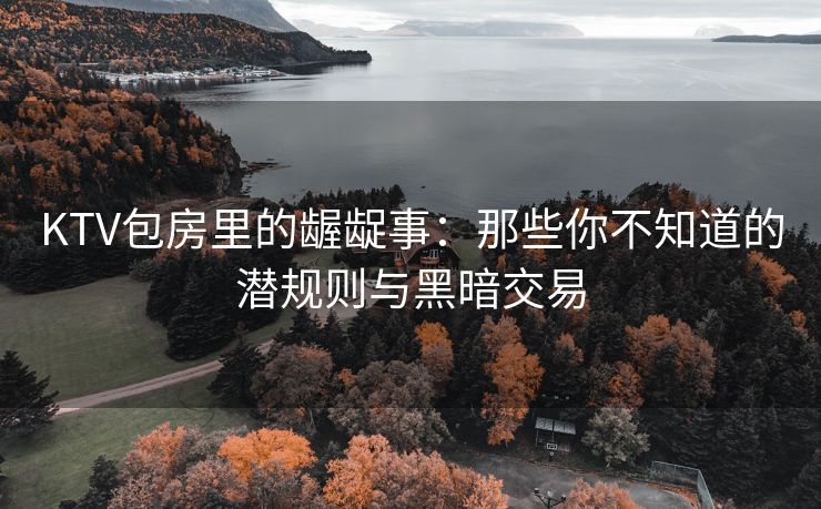 KTV包房里的龌龊事：那些你不知道的潜规则与黑暗交易