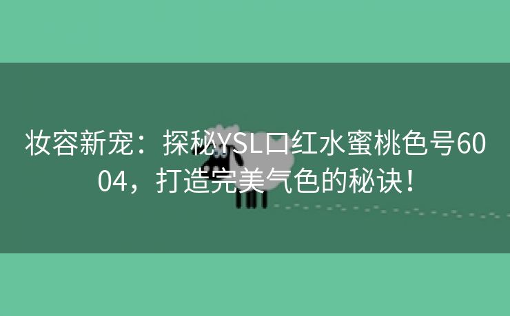 妆容新宠：探秘YSL口红水蜜桃色号6004，打造完美气色的秘诀！