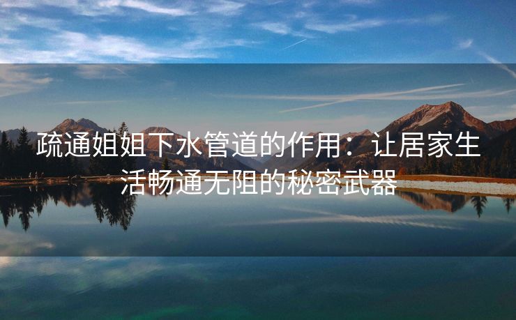 疏通姐姐下水管道的作用：让居家生活畅通无阻的秘密武器