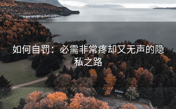 如何自罚：必需非常疼却又无声的隐私之路