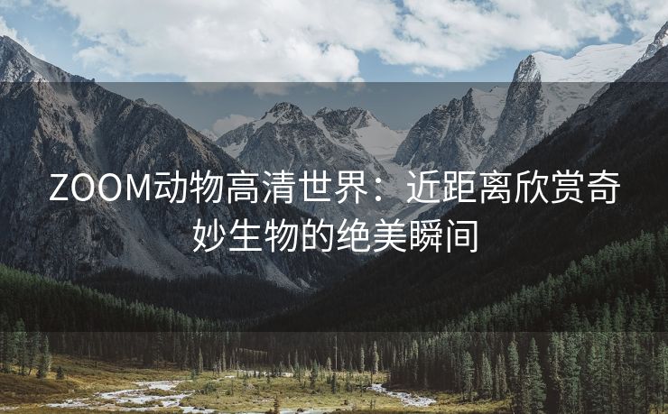 ZOOM动物高清世界：近距离欣赏奇妙生物的绝美瞬间