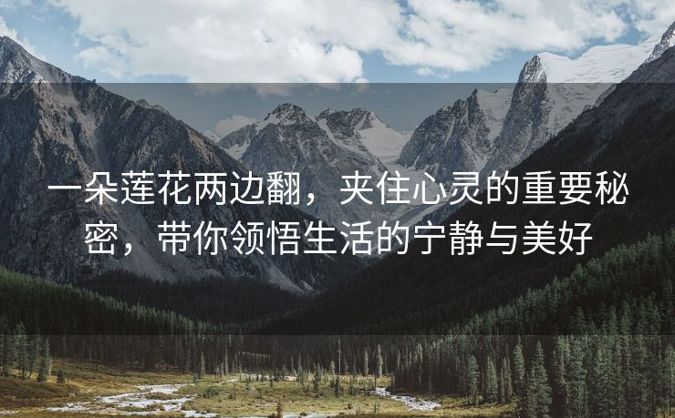 一朵莲花两边翻，夹住心灵的重要秘密，带你领悟生活的宁静与美好
