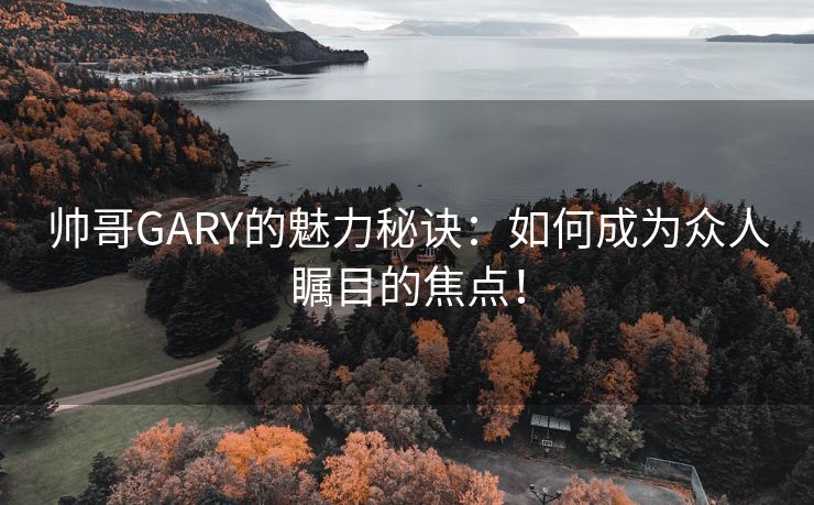 帅哥GARY的魅力秘诀：如何成为众人瞩目的焦点！