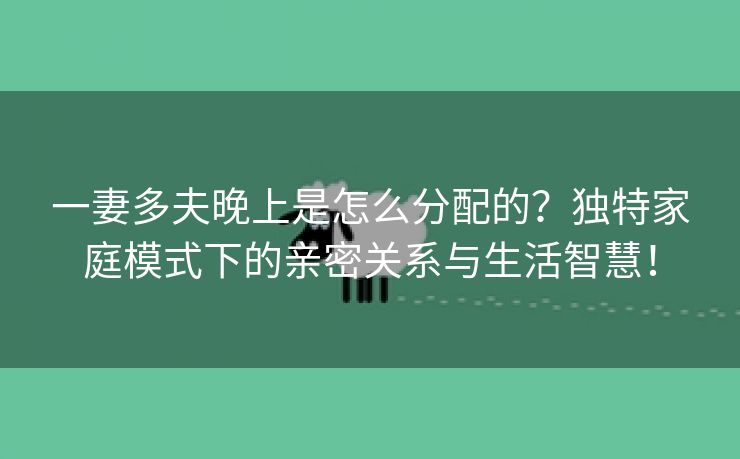 一妻多夫晚上是怎么分配的？独特家庭模式下的亲密关系与生活智慧！
