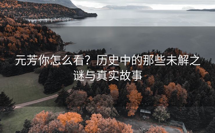 元芳你怎么看？历史中的那些未解之谜与真实故事