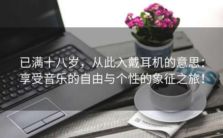 已满十八岁，从此入戴耳机的意思：享受音乐的自由与个性的象征之旅！