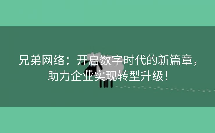 兄弟网络：开启数字时代的新篇章，助力企业实现转型升级！