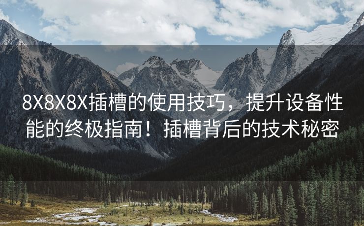 8X8X8X插槽的使用技巧，提升设备性能的终极指南！插槽背后的技术秘密