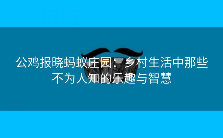 公鸡报晓蚂蚁庄园：乡村生活中那些不为人知的乐趣与智慧