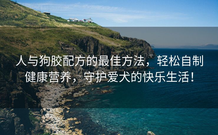 人与狗胶配方的最佳方法，轻松自制健康营养，守护爱犬的快乐生活！