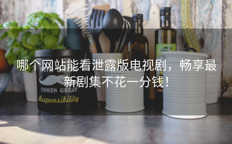 哪个网站能看泄露版电视剧，畅享最新剧集不花一分钱！
