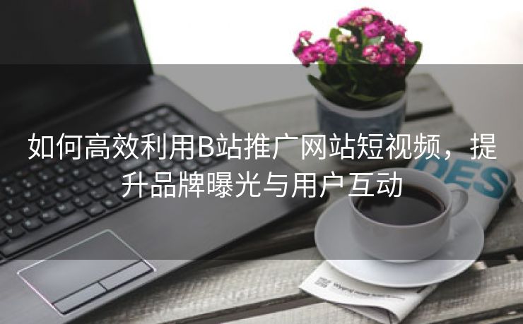 如何高效利用B站推广网站短视频，提升品牌曝光与用户互动