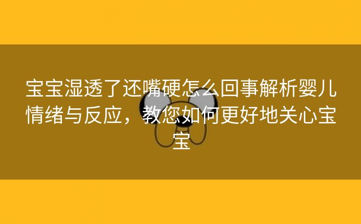 宝宝湿透了还嘴硬怎么回事解析婴儿情绪与反应，教您如何更好地关心宝宝