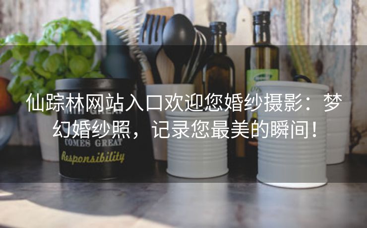 仙踪林网站入口欢迎您婚纱摄影：梦幻婚纱照，记录您最美的瞬间！