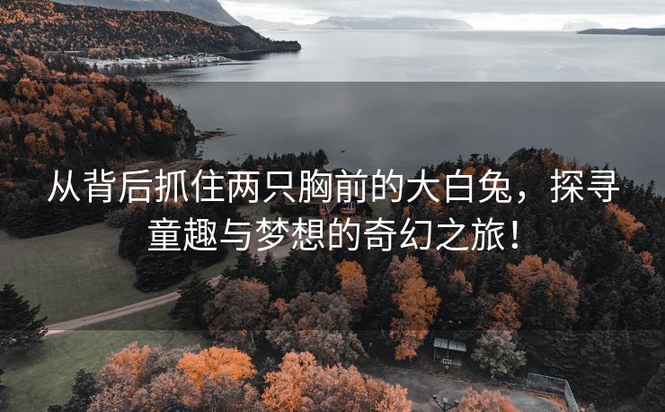 从背后抓住两只胸前的大白兔，探寻童趣与梦想的奇幻之旅！