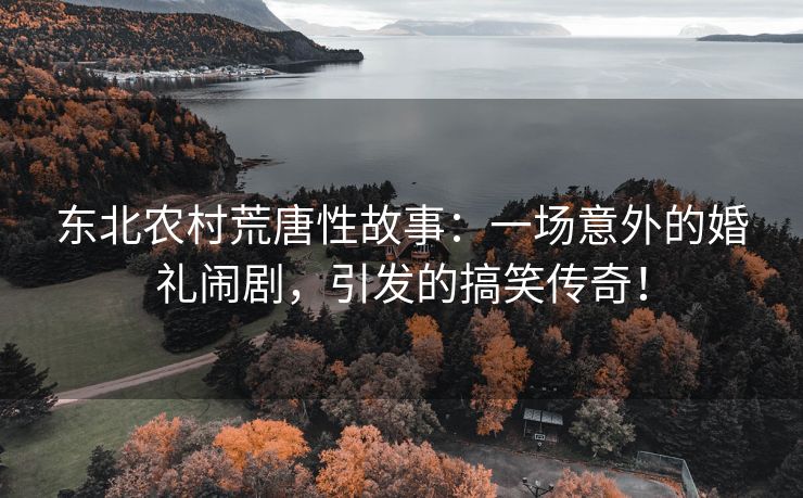 东北农村荒唐性故事：一场意外的婚礼闹剧，引发的搞笑传奇！