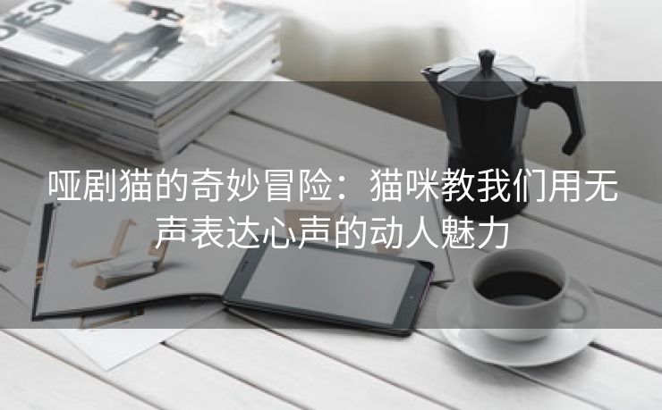 哑剧猫的奇妙冒险：猫咪教我们用无声表达心声的动人魅力