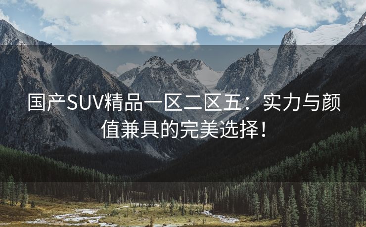 国产SUV精品一区二区五：实力与颜值兼具的完美选择！