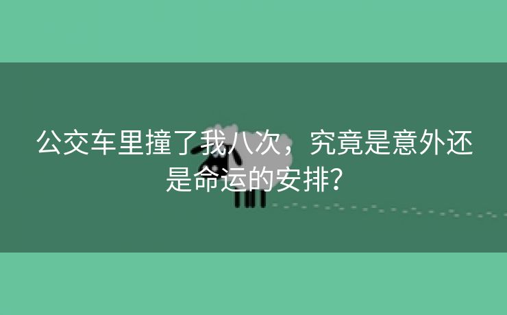 公交车里撞了我八次，究竟是意外还是命运的安排？