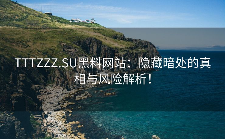 TTTZZZ.SU黑料网站：隐藏暗处的真相与风险解析！