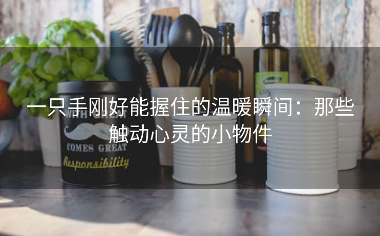 一只手刚好能握住的温暖瞬间：那些触动心灵的小物件