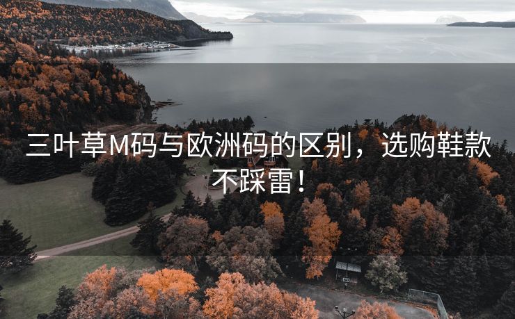 三叶草M码与欧洲码的区别，选购鞋款不踩雷！