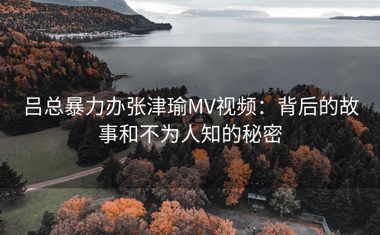 吕总暴力办张津瑜MV视频：背后的故事和不为人知的秘密