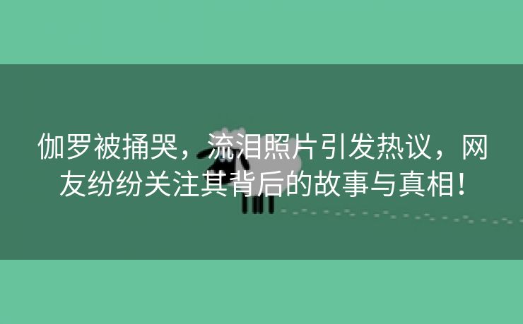 伽罗被捅哭，流泪照片引发热议，网友纷纷关注其背后的故事与真相！