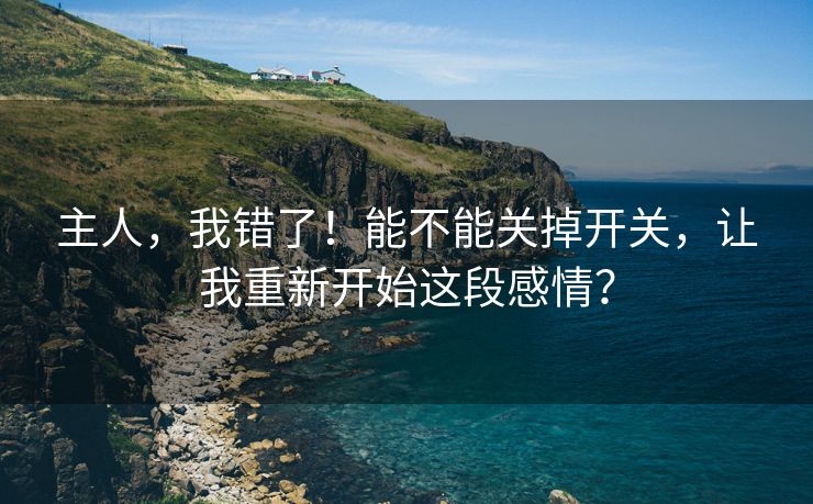 主人，我错了！能不能关掉开关，让我重新开始这段感情？