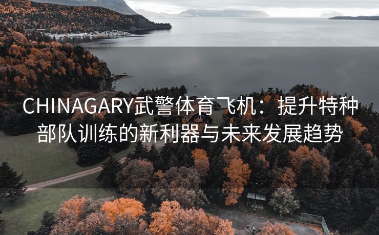 CHINAGARY武警体育飞机：提升特种部队训练的新利器与未来发展趋势