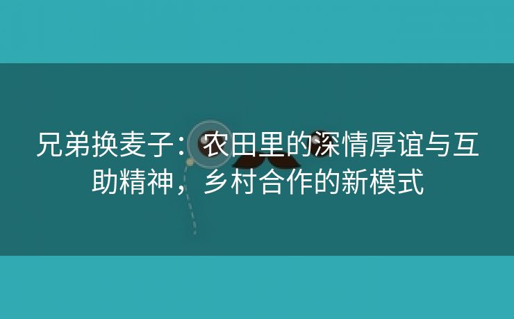 兄弟换麦子：农田里的深情厚谊与互助精神，乡村合作的新模式
