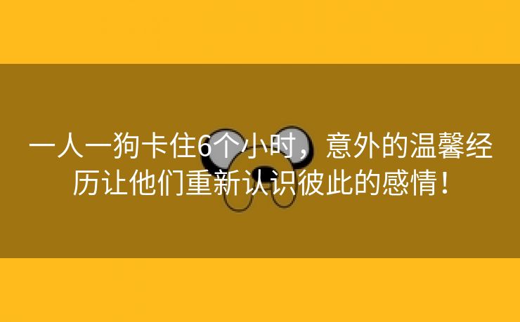 一人一狗卡住6个小时，意外的温馨经历让他们重新认识彼此的感情！