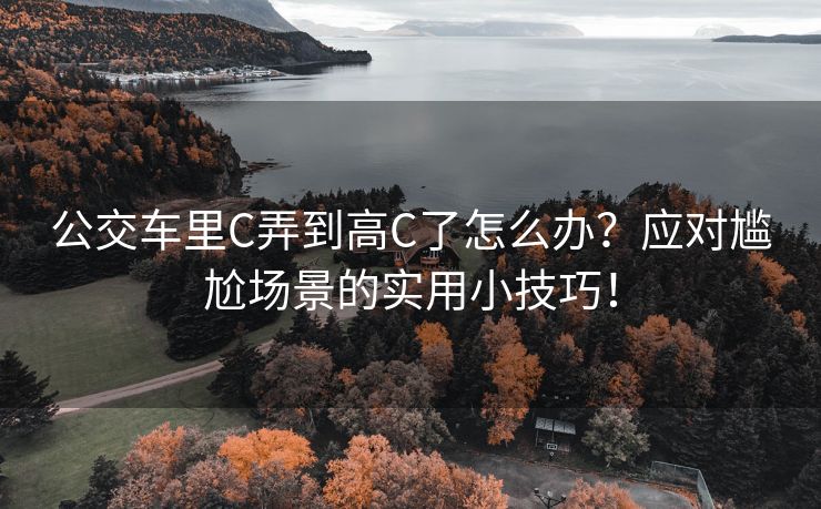 公交车里C弄到高C了怎么办？应对尴尬场景的实用小技巧！