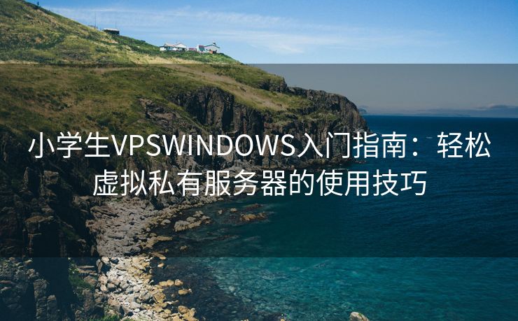 小学生VPSWINDOWS入门指南：轻松虚拟私有服务器的使用技巧