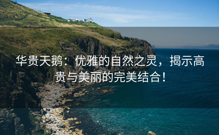 华贵天鹅：优雅的自然之灵，揭示高贵与美丽的完美结合！